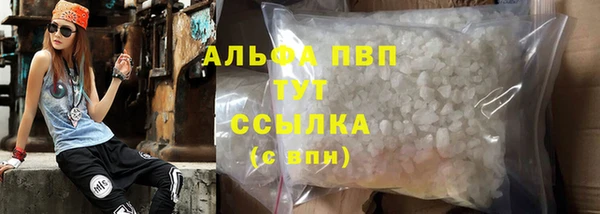 прущие грибы Верея