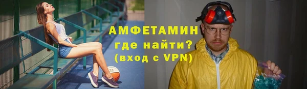 прущие грибы Верея