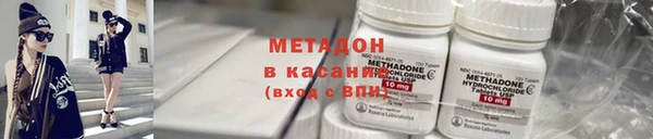 прущие грибы Верея