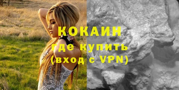прущие грибы Верея