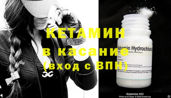 прущие грибы Верея
