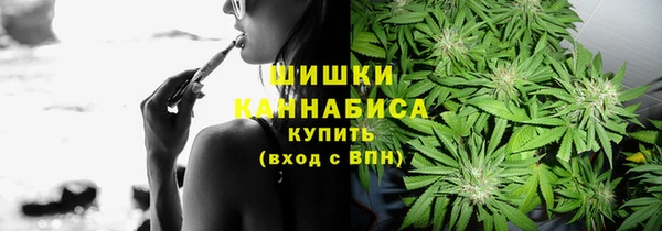 экстази Бородино